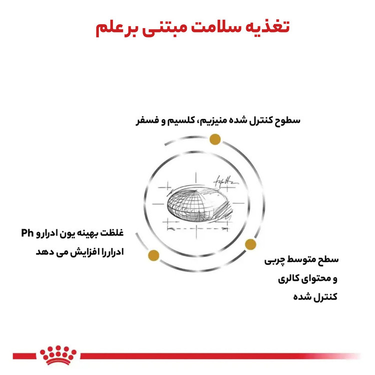 غذای خشک گربه یورینری رویال کنین وزن 3.5 کیلوگرم _ Royal Canin Urinary s/o Cat