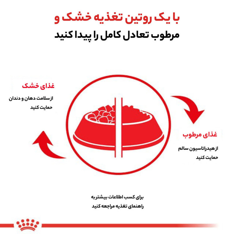 غذای خشک گربه یورینری رویال کنین وزن 3.5 کیلوگرم _ Royal Canin Urinary s/o Cat