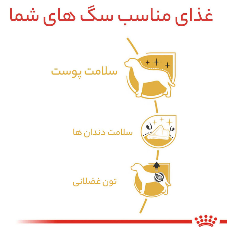 غذا خشک سگ ادالت پودل رویال کنین وزن 1.5 کیلوگرم _ Royal Canin Poodle Adult
