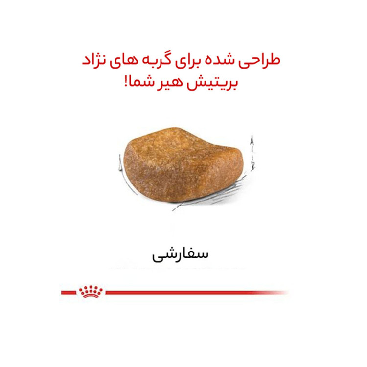 غذای خشک گربه بریتیش ادالت رویال کنین _ Royal Canin British Adult Dry Cat Food