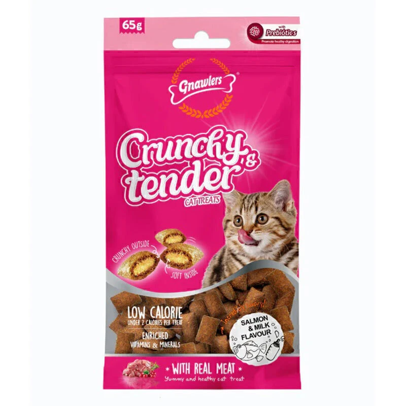 تشویقی گربه گناولرز نوتری مغزدار با طعم سالمون و شیر وزن 65 گرم Gnawlers Crunchy Cat Treat With Salmon & Dairy