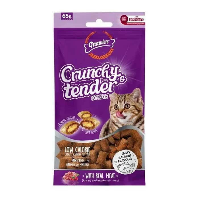 تشویقی گربه گناولرز نوتری مغزدار با طعم سالمون وزن 65 گرم _ Gnawlers Crunchy Cat Treat With Salmon